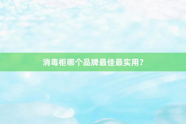 消毒柜哪个品牌最佳最实用？