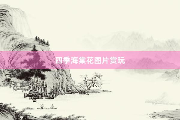 四季海棠花图片赏玩