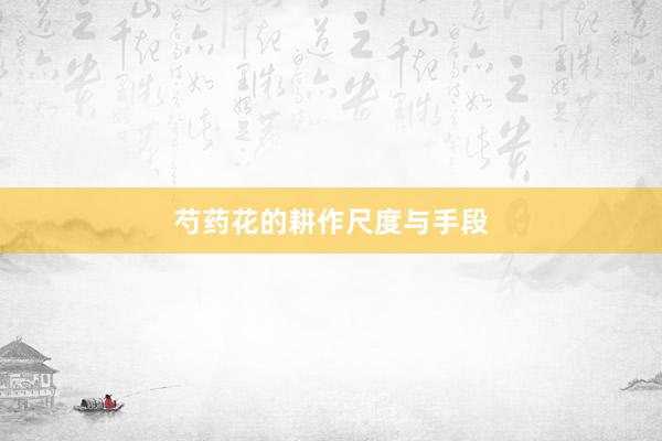 芍药花的耕作尺度与手段