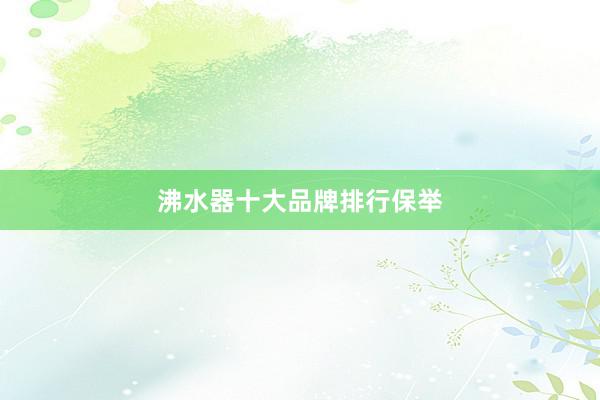 沸水器十大品牌排行保举