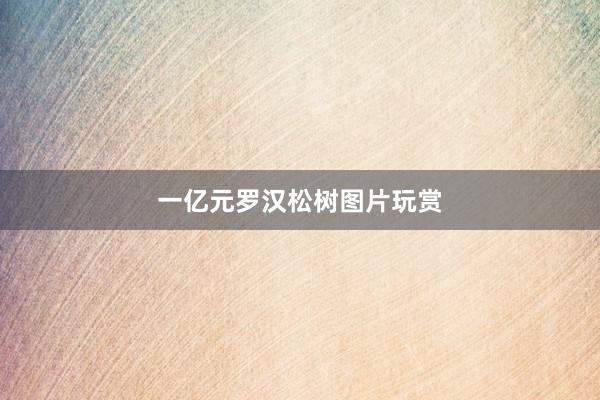 一亿元罗汉松树图片玩赏
